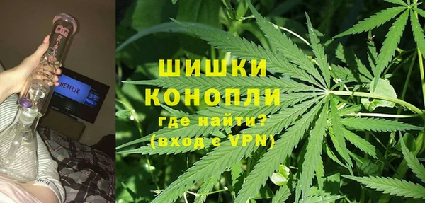ПСИЛОЦИБИНОВЫЕ ГРИБЫ Баксан