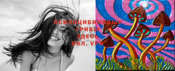 спиды Надым