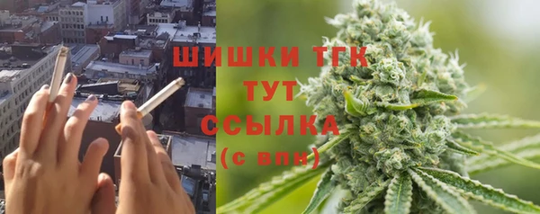 ПСИЛОЦИБИНОВЫЕ ГРИБЫ Баксан