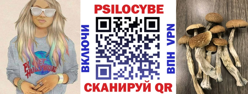 Псилоцибиновые грибы мицелий  купить закладку  кракен ТОР  Моршанск 